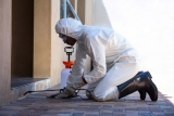 Year-Round VS One-Time Pest Control Treatments – A 2024 Guide