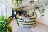 How Plants and Greenery Improve Office Environments