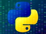 Mastering Python With Free Online Courses with Certificates