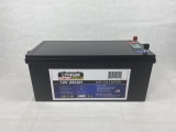 Questions to Ask Before Buying an RV Lithium Battery- 2024 Guide