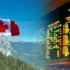 Why Are Small Companies Common Targets For Cyber Attacks