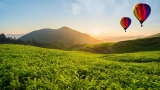 Best Time to Visit Sri Lanka – Month by Month Guide