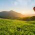 Top 10 Tips to Survive Small Business During Quarantine