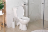 Toilet Buying Guide: Buyer’s Guide to Toilets