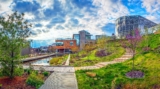 Are Sustainable Landscapes More Work? – 2024 Guide