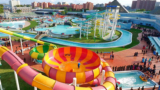 The Best Places for Entertainment