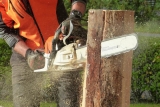 What Do Tree Service Technicians Do?