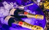 Designing The Ultimate VIP Experience: Nightlife Edition (2024)