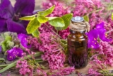 What is Clary Sage Seed Oil?