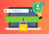What is a Wildcard SSL Certificate? – 2024 Guide