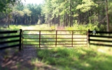 Beyond “Cheap Land”: A Real-World Guide to Buying Affordable Land in Florida