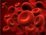 3 Best Tips How To Prevent Anemia With Vitamins? – 2024 Guide