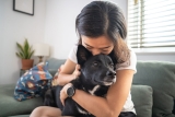 Pet Ownership in Asia