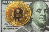 Will Bitcoin Continue to Rise in 2024
