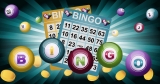 How to Use Bingo Sites Reviews? – 2024 Guide
