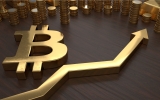 Will Bitcoin Rise More in 2024?