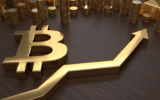 Will Bitcoin Rise More in 2024?