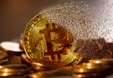 What Will Happen if Bitcoin Crashes