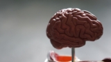 Benefits of playing Brain Trainer Games