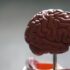 Top 7 True Facts About Drugs – 2024 Guide
