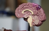 6 Great Brain Training Apps in 2024