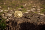 How Much Eco-Friendly is Bitcoin Actually? 2024 Guide