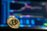 Are Bitcoins Fairly Valued?