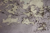 15 Easy Solutions to Treat Rising Damp in Walls – 2024 Guide