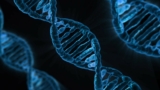 Uncover Your Family History And Benefits of Sibling DNA Testing