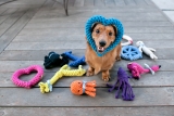 5 Best Toys for Blind Dogs in 2024