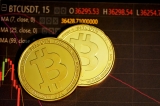 How to Evaluate the Potential of a Cryptocurrency – 2024 Guide