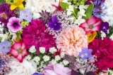 How to Make Flowers Last Longer – 2024 Guide