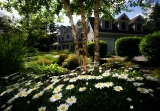 Does A Garden Add Value To A House?