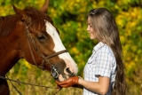 What You Need to Know About CBD Oil For Horses in 2024