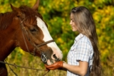 What You Need to Know About CBD Oil For Horses in 2024