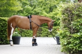 5 Basic Equipment You Need for Your First Horse – 2024 Guide