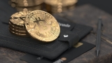 Should You Keep Your Crypto in Multiple Wallets – 2024 Guide