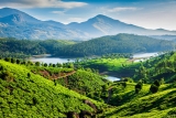 Best Treks to Try for Adventure Lovers in Kerala