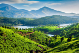 Best Treks to Try for Adventure Lovers in Kerala