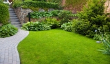 5 Ways to Make Your Lawn Stand Out – 2024 Guide