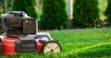 The Best Lawn Mower to Buy in 2024