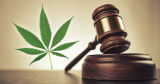 4 Reasons Why Is Canada Legalizing Marijuana – 2024 Guide