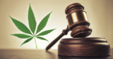 4 Reasons Why Is Canada Legalizing Marijuana – 2024 Guide