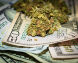 Social and Economic Effects of Cannabis Legalization