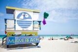 Top 14 Restaurants in Miami You Don’t Want to Miss