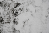 5 DIY Tips For Getting Rid of Damp and Mold – 2024 Guide