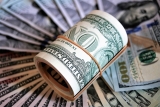 Have You Been a Victim of an Investment Fraud? Effective Steps to Recover Your Money