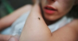 What Is the Best Home Remedy for Mosquitoes Outside – 2024 Guide