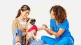Pet CPR: Knowing the Techniques to Protect Your Four-Legged Family Member