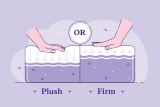 Firm Or Plush Mattress – Which Is Better For Your Back